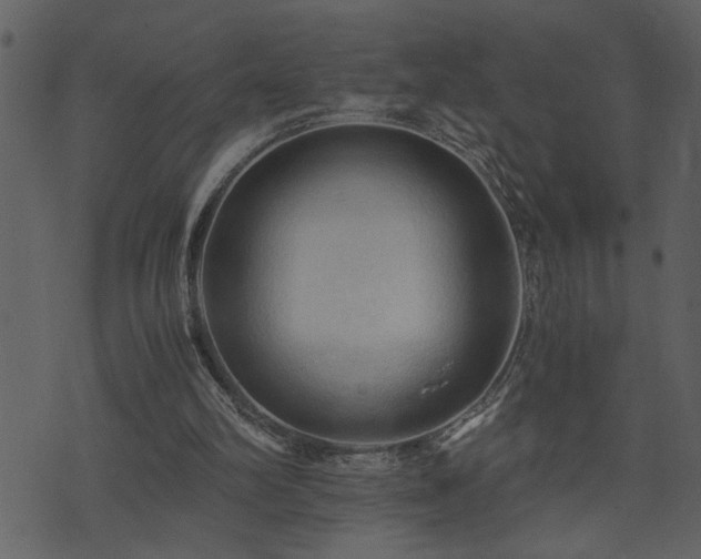 X0000071760102200606301140