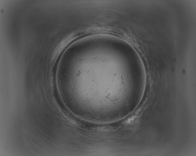 X0000071760103200606301140