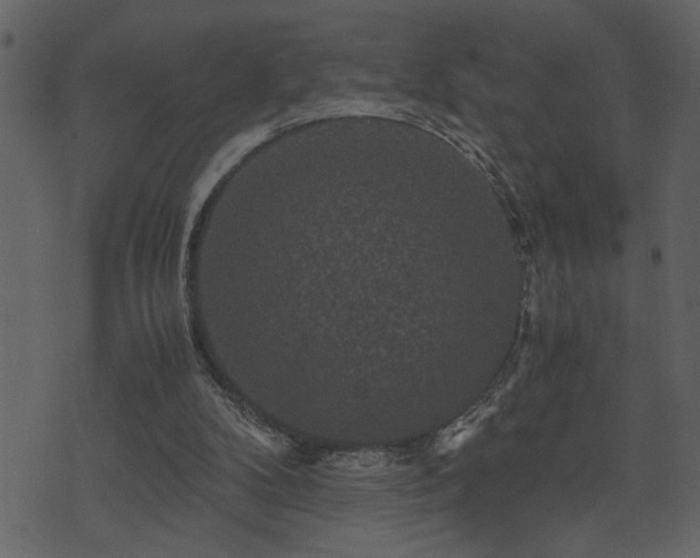 X0000071760104200606301140