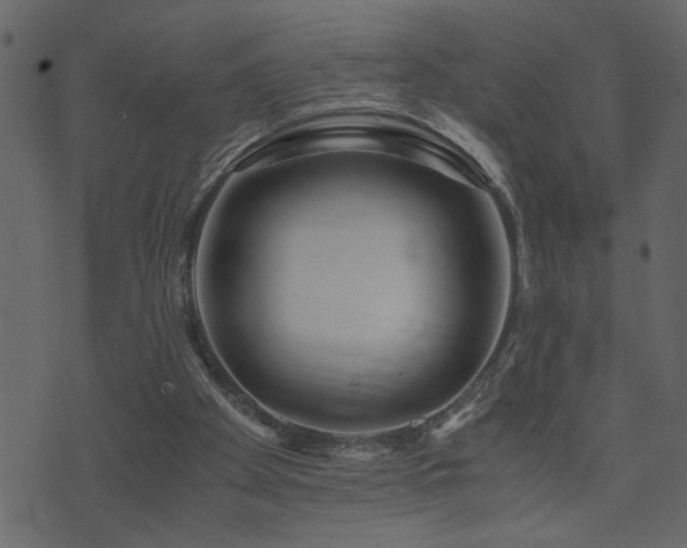 X0000071760105200606301140