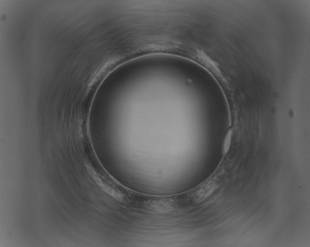 X0000071760106200606301140