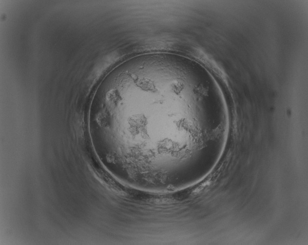 X0000071760107200606301140