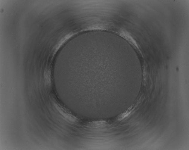 X0000071760108200606301140