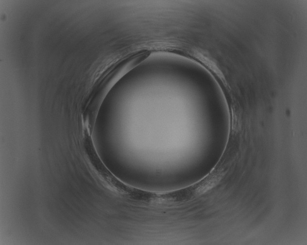 X0000071760109200606301140