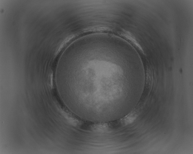 X0000071760110200606301140