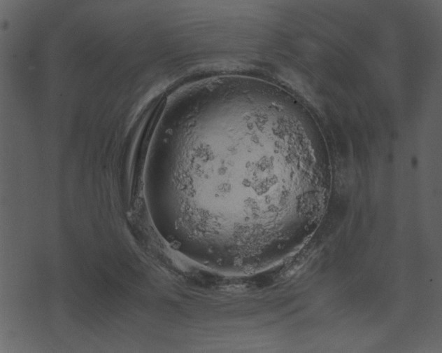 X0000071760111200606301140