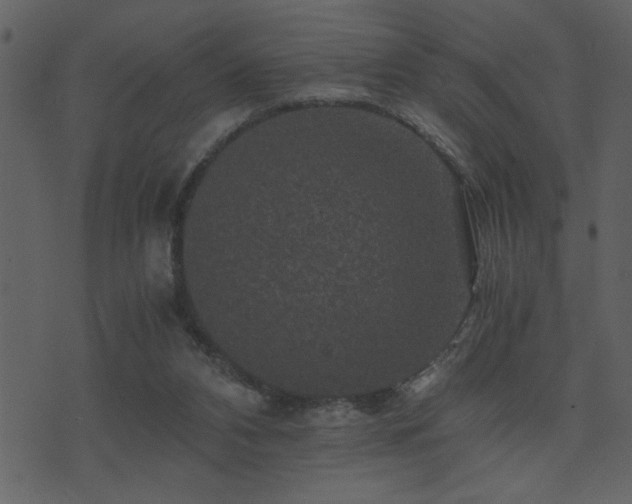 X0000071760112200606301140