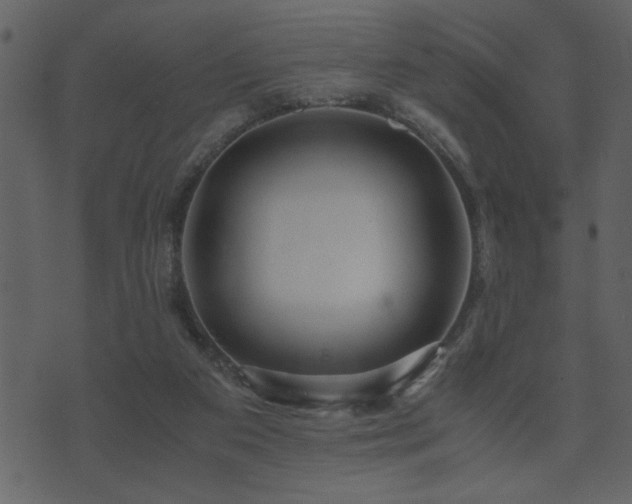 X0000071760113200606301140