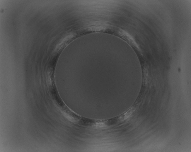 X0000071760114200606301140