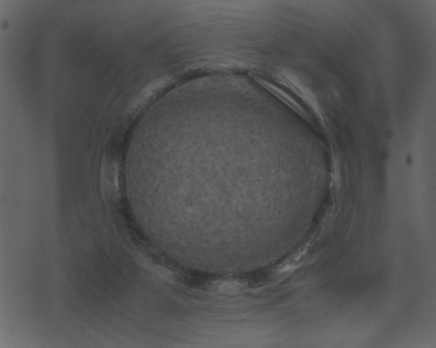 X0000071760115200606301140