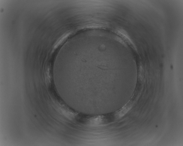 X0000071760116200606301140