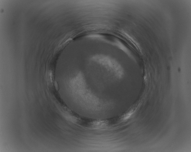 X0000071760117200606301140