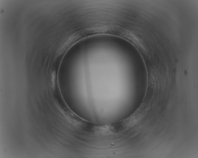 X0000071760118200606301140