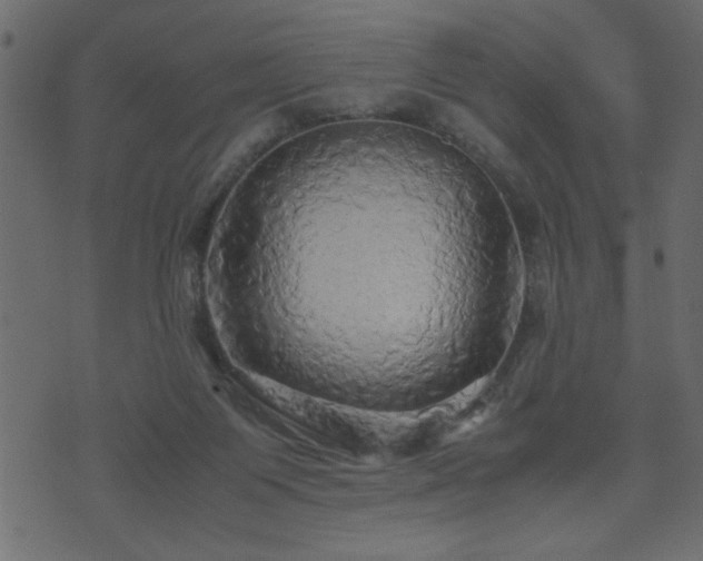 X0000071760119200606301140