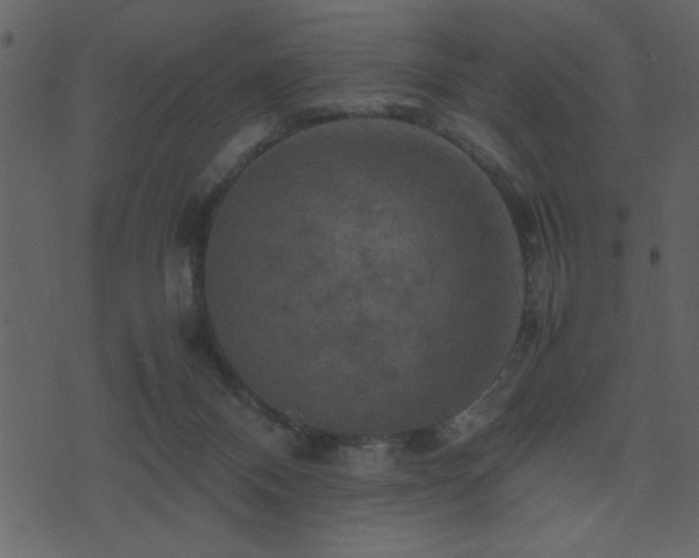 X0000071760120200606301140