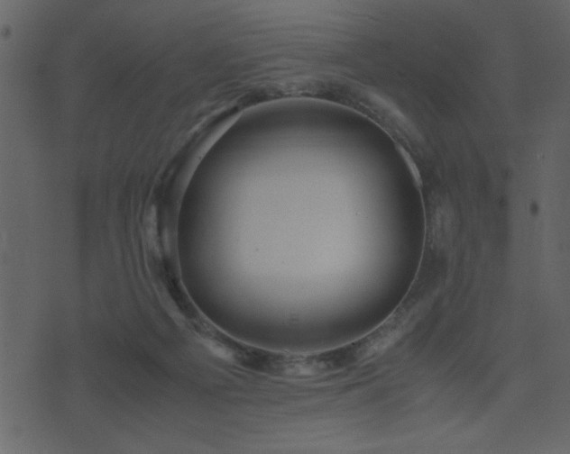 X0000071760121200606301140