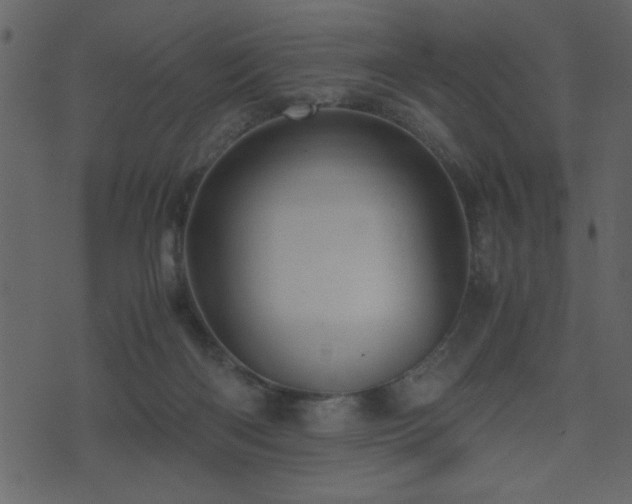 X0000071760122200606301140