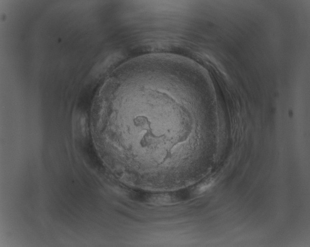 X0000071760123200606301140