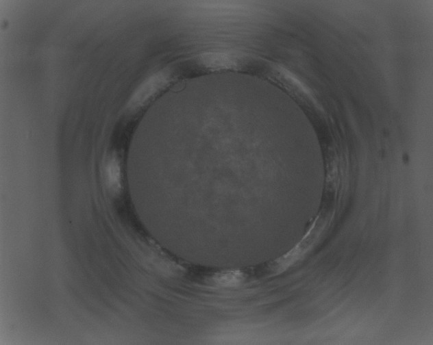 X0000071760124200606301140