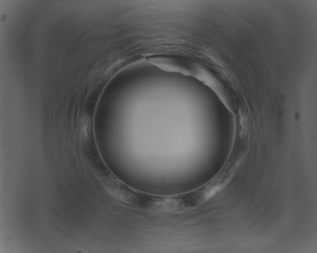 X0000071760125200606301140