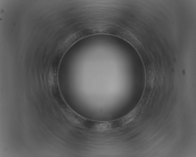 X0000071760126200606301140