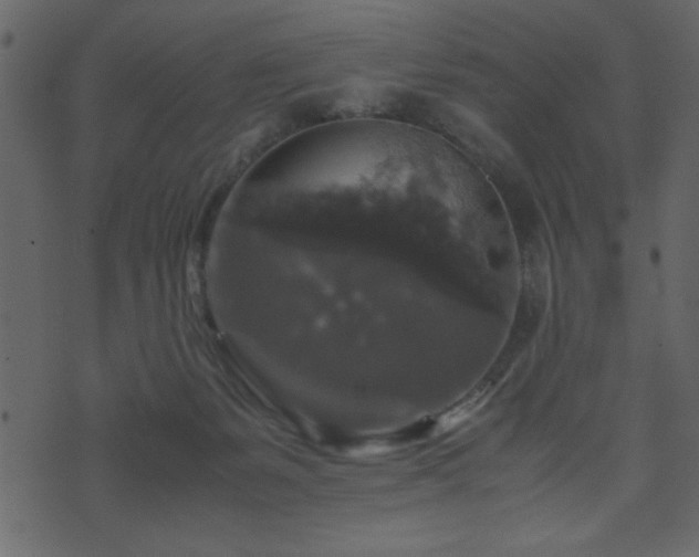 X0000071760127200606301140