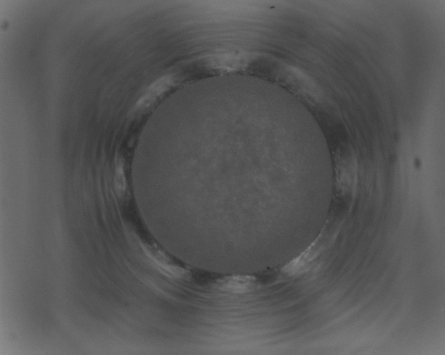 X0000071760128200606301140