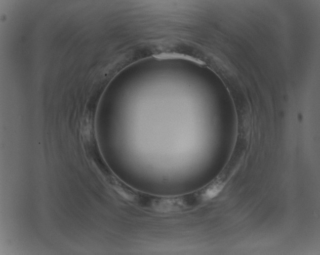 X0000071760129200606301140