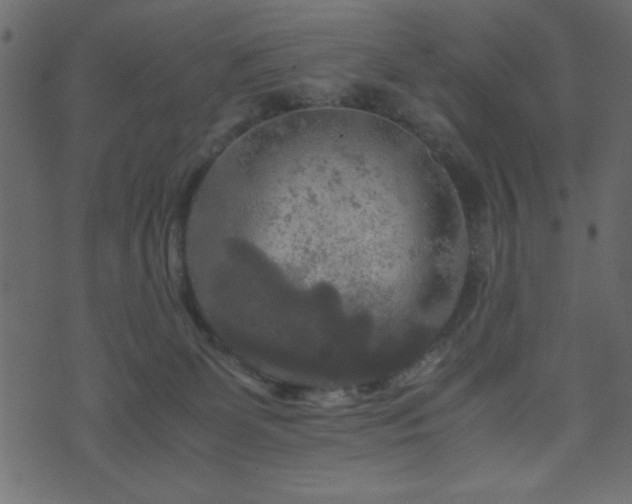 X0000071760131200606301140