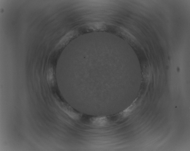 X0000071760132200606301140