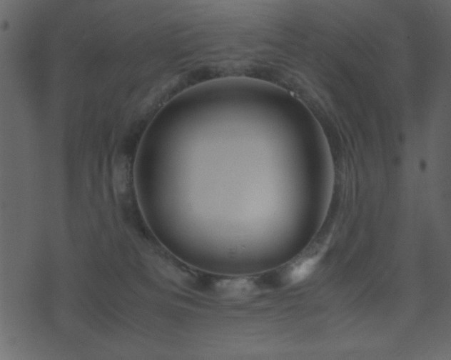 X0000071760133200606301140