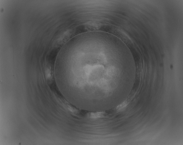 X0000071760134200606301140