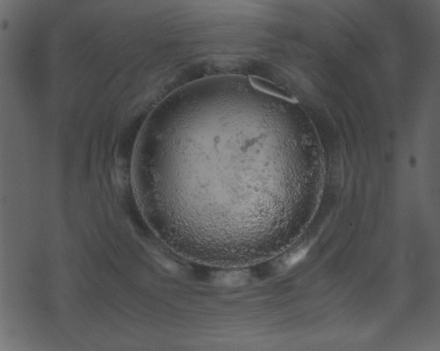 X0000071760135200606301140