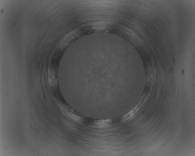 X0000071760136200606301140