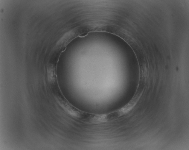 X0000071760138200606301140