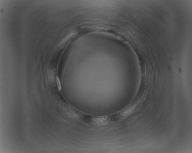 X0000071760139200606301140