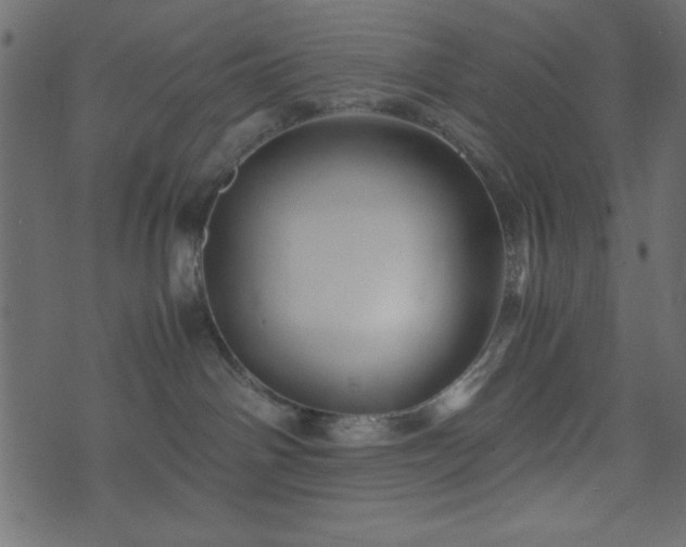 X0000071760142200606301140