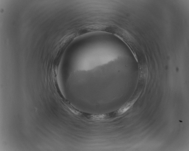 X0000071760143200606301139