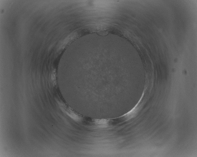 X0000071760144200606301139