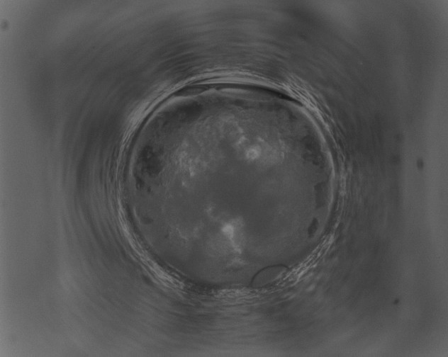 X0000071760145200606301139