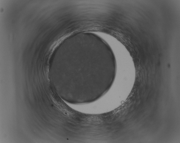 X0000071760146200606301139