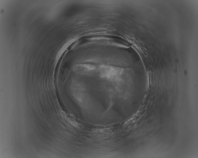 X0000071760147200606301139