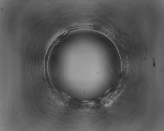 X0000071760148200606301139