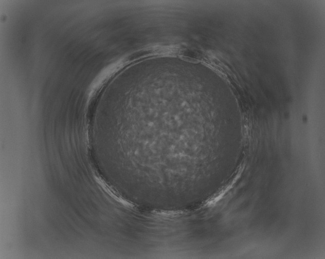 X0000071760149200606301139