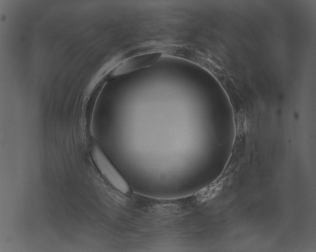 X0000071760150200606301139