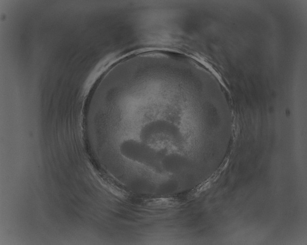 X0000071760151200606301139