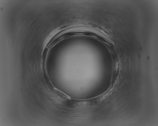 X0000071760152200606301139