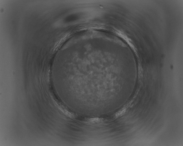 X0000071760153200606301139