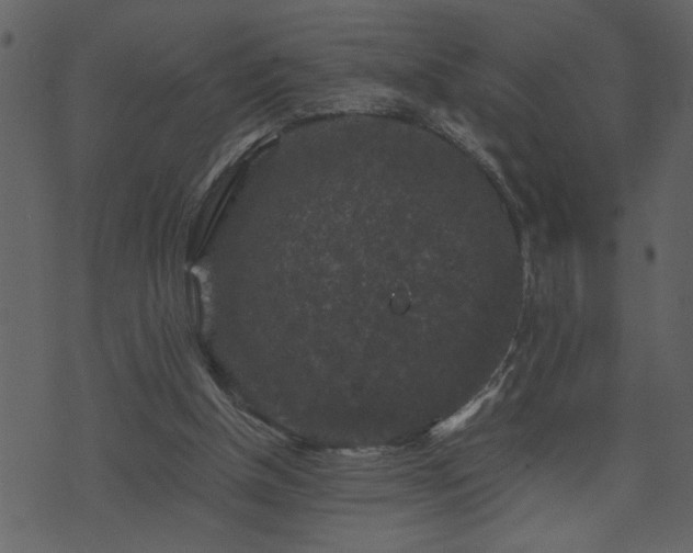 X0000071760154200606301139