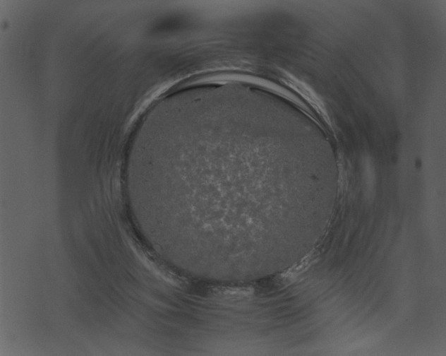 X0000071760155200606301139